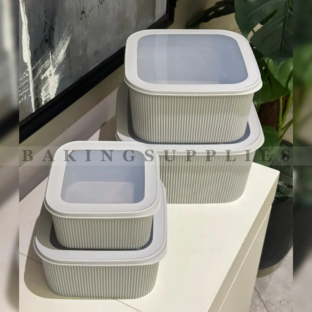 Silicone Airtight Storage Containers Set of 4