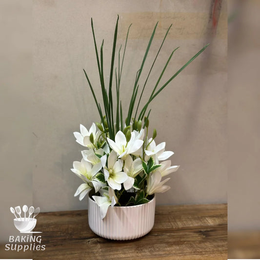 Decorative Flower Pot – Elegant Planter for Indoor & Outdoor Use